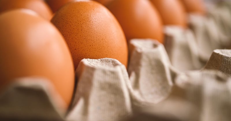 Cuisine solaire expérimentée en restaurant : le pari fou qui séduit